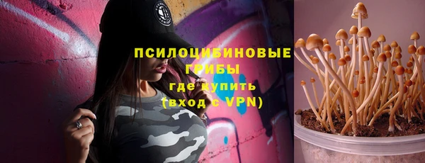 mix Гусиноозёрск