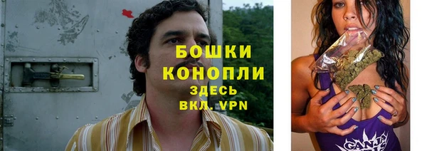 каннабис Дмитров