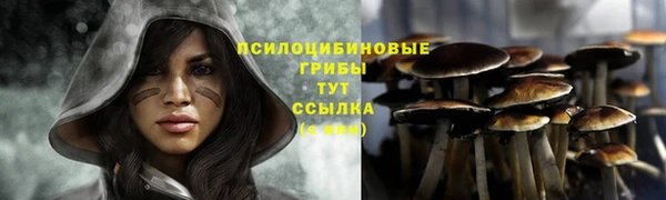 mix Гусиноозёрск