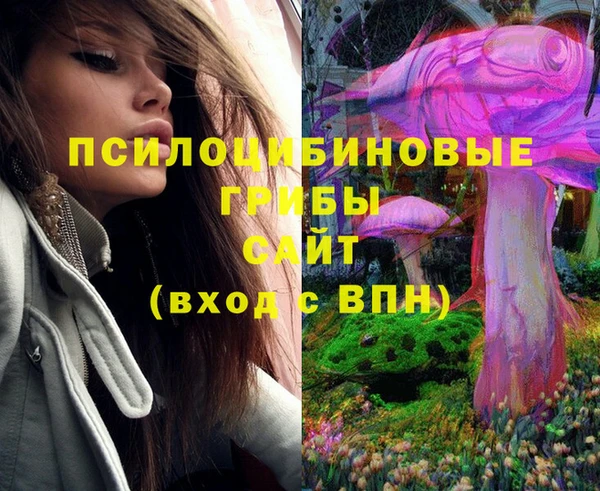 ГАЛЛЮЦИНОГЕННЫЕ ГРИБЫ Гусь-Хрустальный