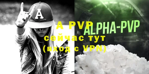 ГАЛЛЮЦИНОГЕННЫЕ ГРИБЫ Гусь-Хрустальный